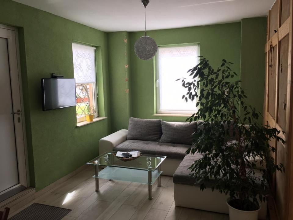 Ferienwohnung Zum Saaletalblick 萨勒河畔瑙姆堡 外观 照片